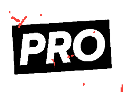 Pro Member Pro Member