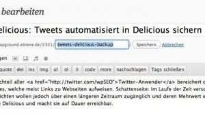 Effektive Suchmaschinenoptimierung für das Blog-CMS: WordPress-Blogs mit SEO beflügeln