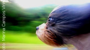 Praxistipps zur Steigerung der Website-Performance: High-Performance-Websites