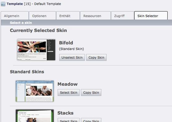 Der Skin Selector vereinfacht die Zuweisung der Frontend-Layouts und fügt automatisch notwendigen TypoScript-Code ein.