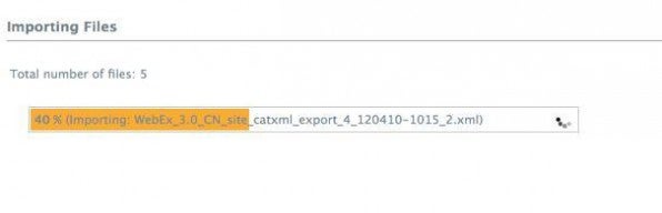 Der Lokalisierungsmanager zeigt den Fortschritt beim Import der übersetzten XML-Dateien an.
