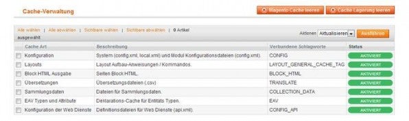 Im Backend lassen sich die einzelnen Caches überwachen und steuern.