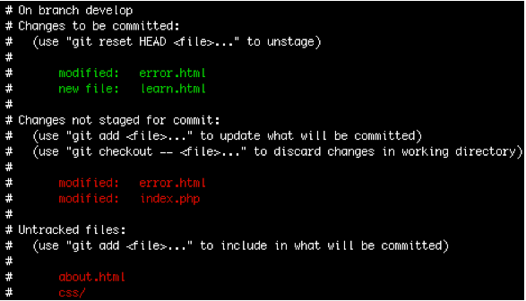 git_screenshot1