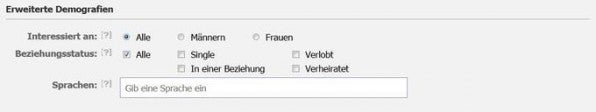 In der Rubrik „Erweiterte Demografien“ legen Werbetreibende ihre Zielgruppe präzise fest.