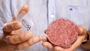 Food-Tech: Wie Startups klimafreundliche Burger heranzüchten Food-Tech: Wie Startups klimafreundliche Burger heranzüchten