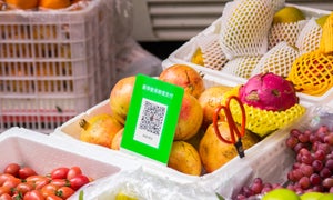 Wie Corona dem QR-Code zu einem Comeback verhilft