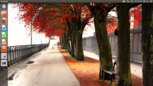 Ubuntu: Poweruser wechseln wegen Unity zu Linux Mint