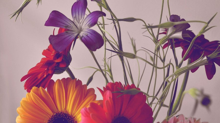 (Bild: superfamous.com / CC-BY-3.0)