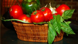 Zeitmanagement mit der Pomodoro-Technik: Die besten kostenlosen Apps für alle Plattformen Zeitmanagement mit der Pomodoro-Technik: Die besten kostenlosen Apps für alle Plattformen