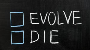 Digitale Transformation: Warum wir den technologischen Wandel unterschätzen! [Kolumne]