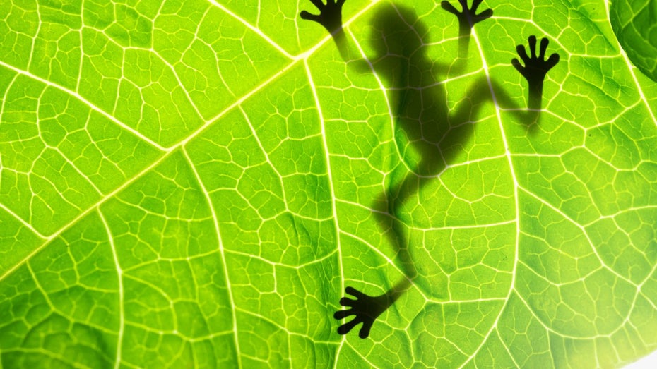 Screaming Frog: So nutzt du das SEO-Tool optimal Screaming Frog: So nutzt du das SEO-Tool optimal