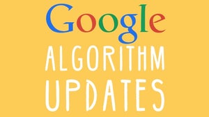 Großes Google-Update: Gewinner, Verlierer und erste Erkenntnisse