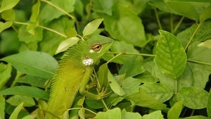 Native Advertising: 20 kreative Beispiele besonders gelungener Kampagnen