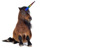 RydeMyPony: Das Startup-Unicorn, das an wirklich ALLEN vorbeizieht [hub conference]