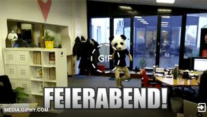 GIFs, GIFs, GIFs: Hier GIFs lustige Animationen f&uuml;r jeden Anlass