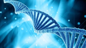 Bits im Erbgut: Neue Methode zur DNA-Speicherung können auch Nicht-Fachleute anwenden