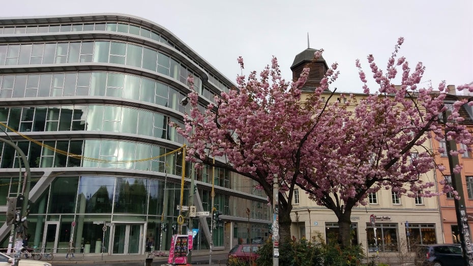 HTC 10 Testfoto. (Foto:t3n)