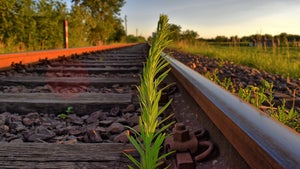 Ruby on Rails: Warum immer weniger Interesse an dem Framework besteht Ruby on Rails: Warum immer weniger Interesse an dem Framework besteht