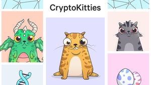 Kollaps eines Blockchain-Games: Die vielen Fehler der „Cryptokitties”