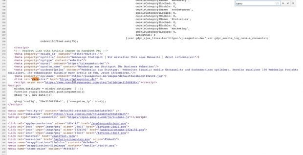 Google Rankings verhindern canonical