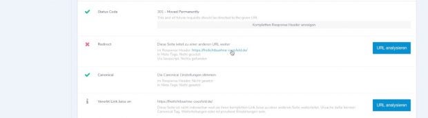 Google Rankings verhindern redirect ryte