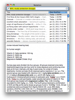 Notational Notiztool