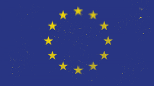 Europawahl 2019 – wer wählt hier eigentlich was?