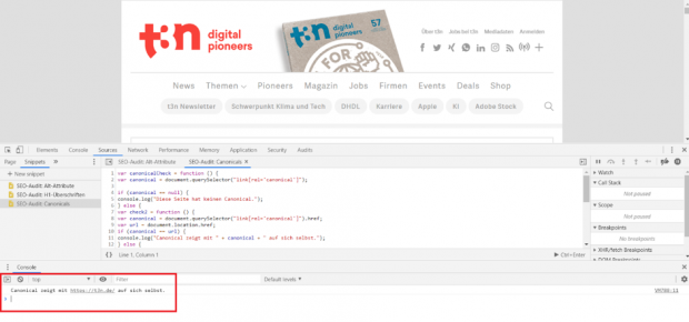 Ergebnis der Canonical-Überprüfung