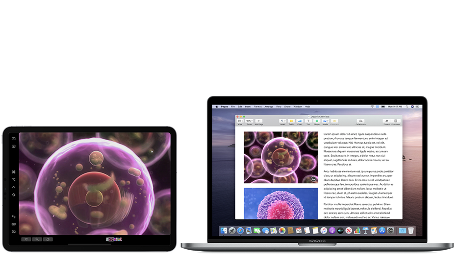 Sidecar: So nutzt ihr euer iPad als zweiten Bildschirm unter MacOS Catalina Sidecar: So nutzt ihr euer iPad als zweiten Bildschirm unter MacOS Catalina