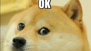 5 Dinge, die du diese Woche wissen musst: OK, Boomer! 5 Dinge, die du diese Woche wissen musst: OK, Boomer!