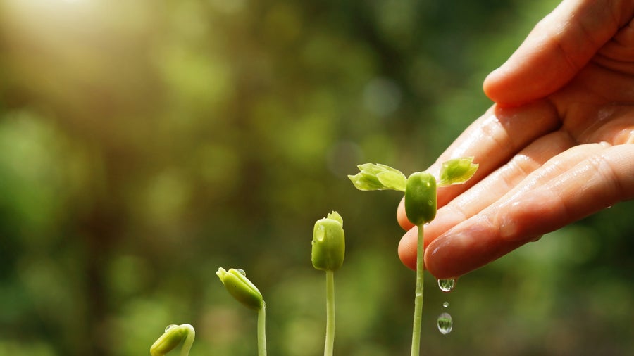 9 Kennzeichen für erfolgreiches Workforce-Management 9 Kennzeichen für erfolgreiches Workforce-Management