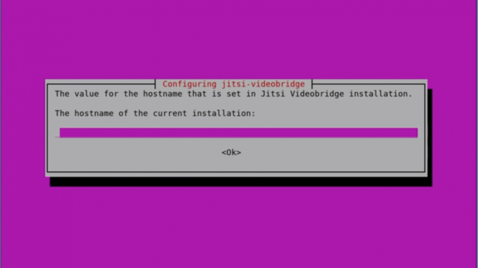 Bei der Installation eures Jitsi-Servers müsst ihr hier den Domain-Namen eures Servers oder alternativ seine IP-Adresse angeben. (Screenshot: Youtube / Jitsi)