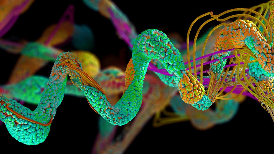 Proteinfaltung: Deepmind-KI löst jahrzehntealtes Wissenschaftsproblem Proteinfaltung: Deepmind-KI löst jahrzehntealtes Wissenschaftsproblem
