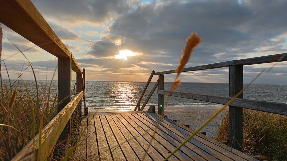 Oneplus Nord 2 5G – Fotosample. (Foto: t3n)