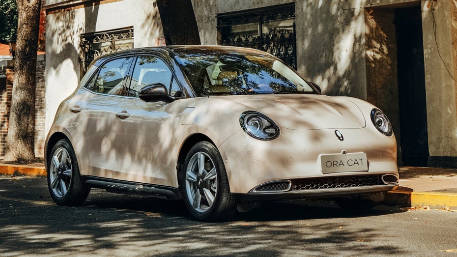 Ora Cat. (Foto: GWM). (Foto: GWM)