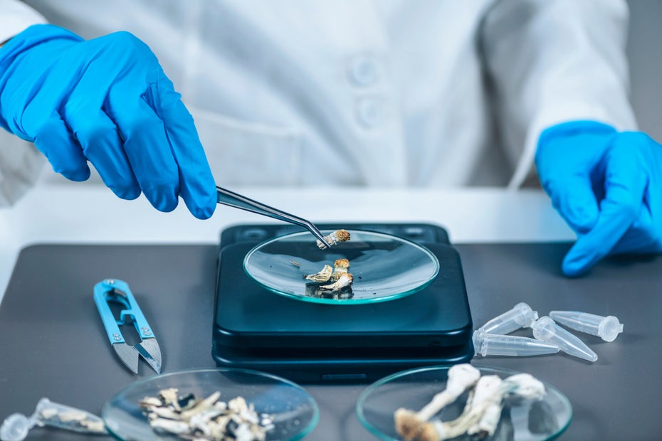 Wie Psychedelika das Gehirn umkrempeln – und warum das Hoffnung für die Psychotherapie macht