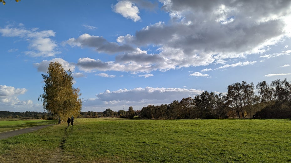 Pixel 6 Pro mit Zoom. (Foto: t3n)