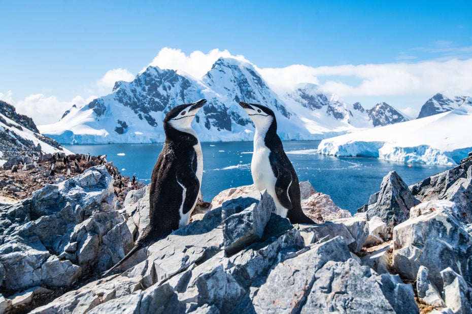 Tipping point a million years ago: How the behavior of Antarctic ice ...