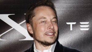 Elon Musk über die US-Förderung für Elektroautos: „Lasst es sein!” Elon Musk über die US-Förderung für Elektroautos: „Lasst es sein!”