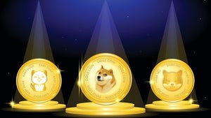 Krypto: Dogecoin erreicht höchsten Stand seit 3 Jahren – Bitcoin knackt die 80.000 Dollar