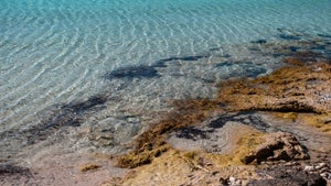 Marispace-X: Forscher wollen Meere digital abbilden