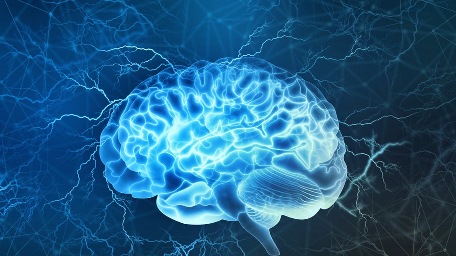Größeres Gehirn <> Höhere Intelligenz.
(Illustration: Shutterstock/ Yurchanka Siarhei) Studie: Unsere Gehirne werden immer größer