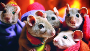 KI hat„s drauf: ”Dall-E 2, mal mir einen Otter mit einem Perlenohrring”