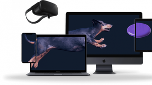 Metaverse: Digitale Hunde als NFT-Begleiter vorgestellt