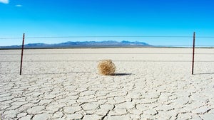 Twitter-Gemeinde rätselt: Warum schweigt Elon Musk seit 7 Tagen?