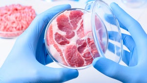 „Ungenutzte Klimachance” – warum der Markt für Fleischalternativen schneller wachsen muss