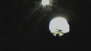 Aufnahmen vom Einschlag bei der Dart-Mission: Erste Bilder des getroffenen Asteroiden