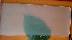 Studie: Dieses transparente Holz könnte Plastik ersetzen