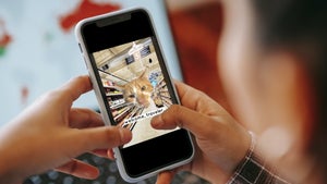 Petfluencer Awards: Das sind die erfolgreichsten Katzen im Internet