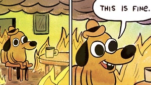 Passender denn je: „This is fine”-Meme feiert 10. Geburtstag